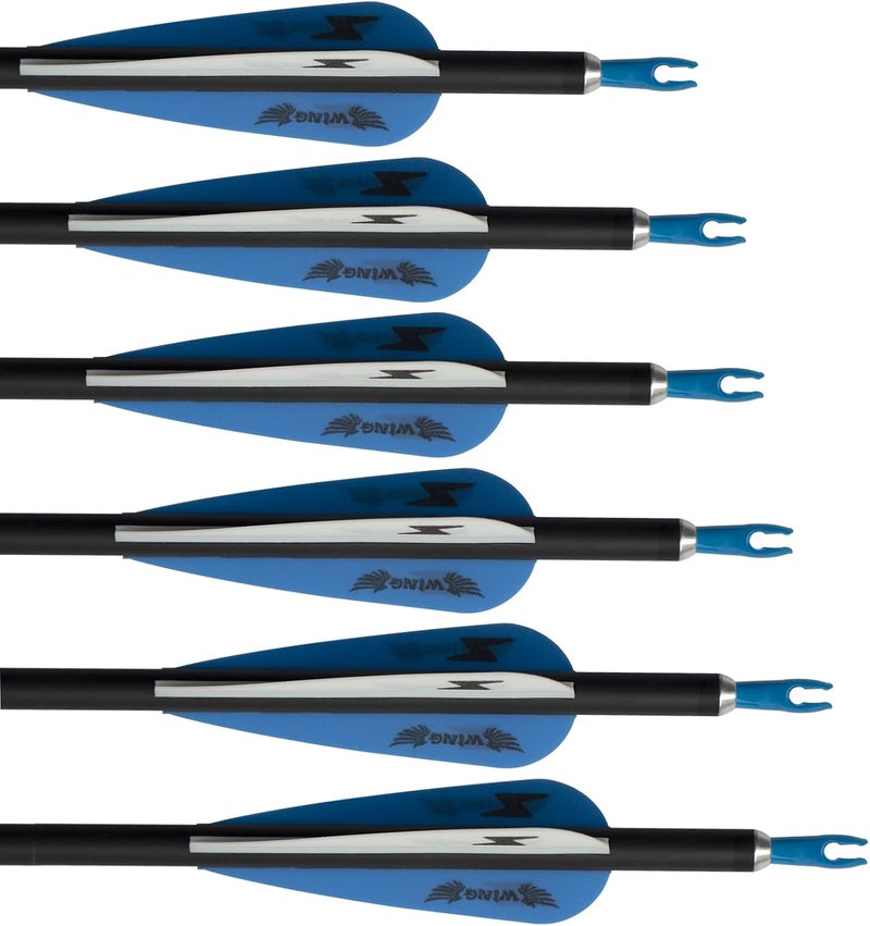 e5e10 31inch Carbon Arrow Archery Targeting Practice Hunting Arrows for Compound & Recurve Bow with Removable Tips(Pack of 12) - Image 4